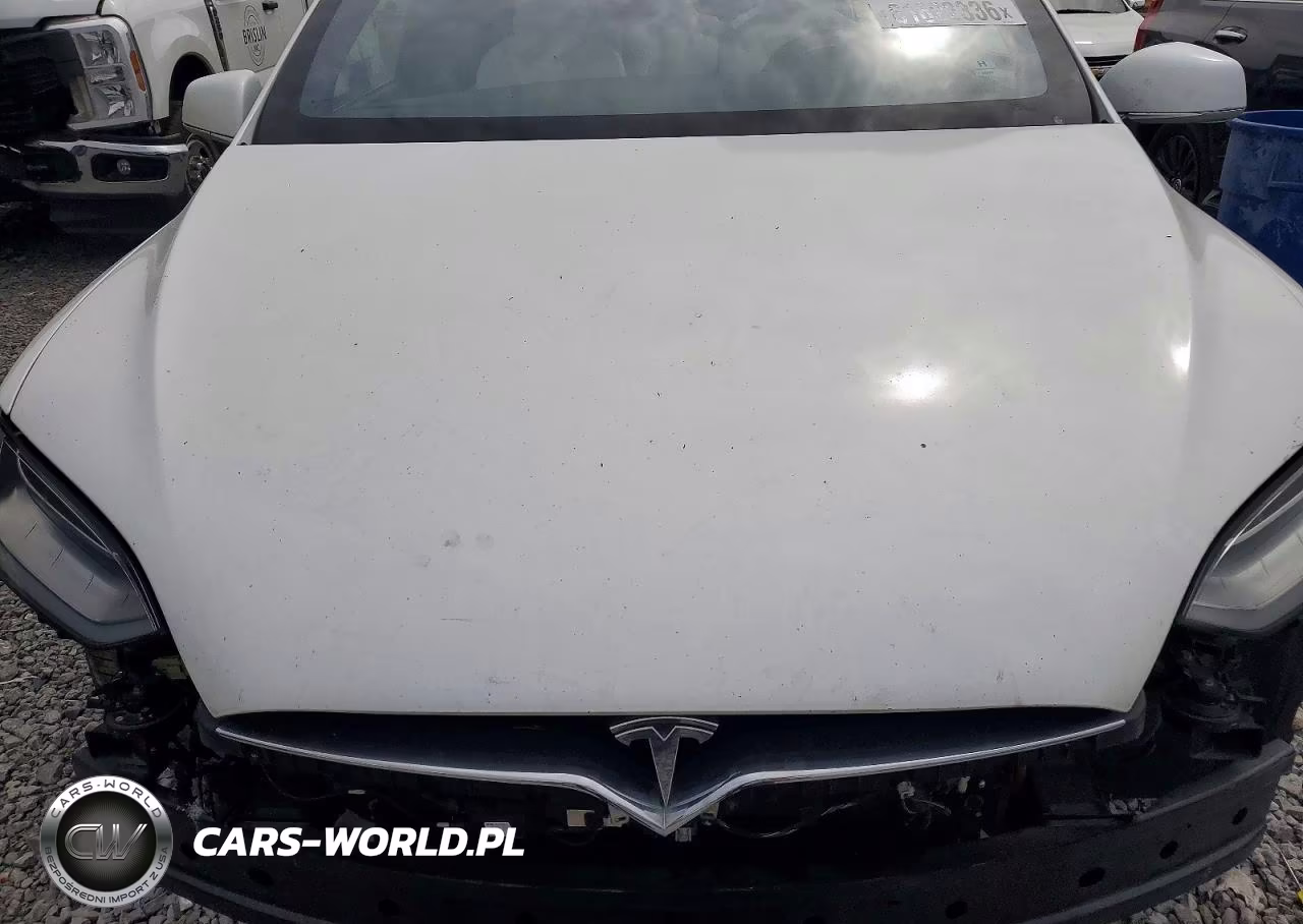 2018 Tesla Model X VIN:5YJXCDE2XJF124173 - 12