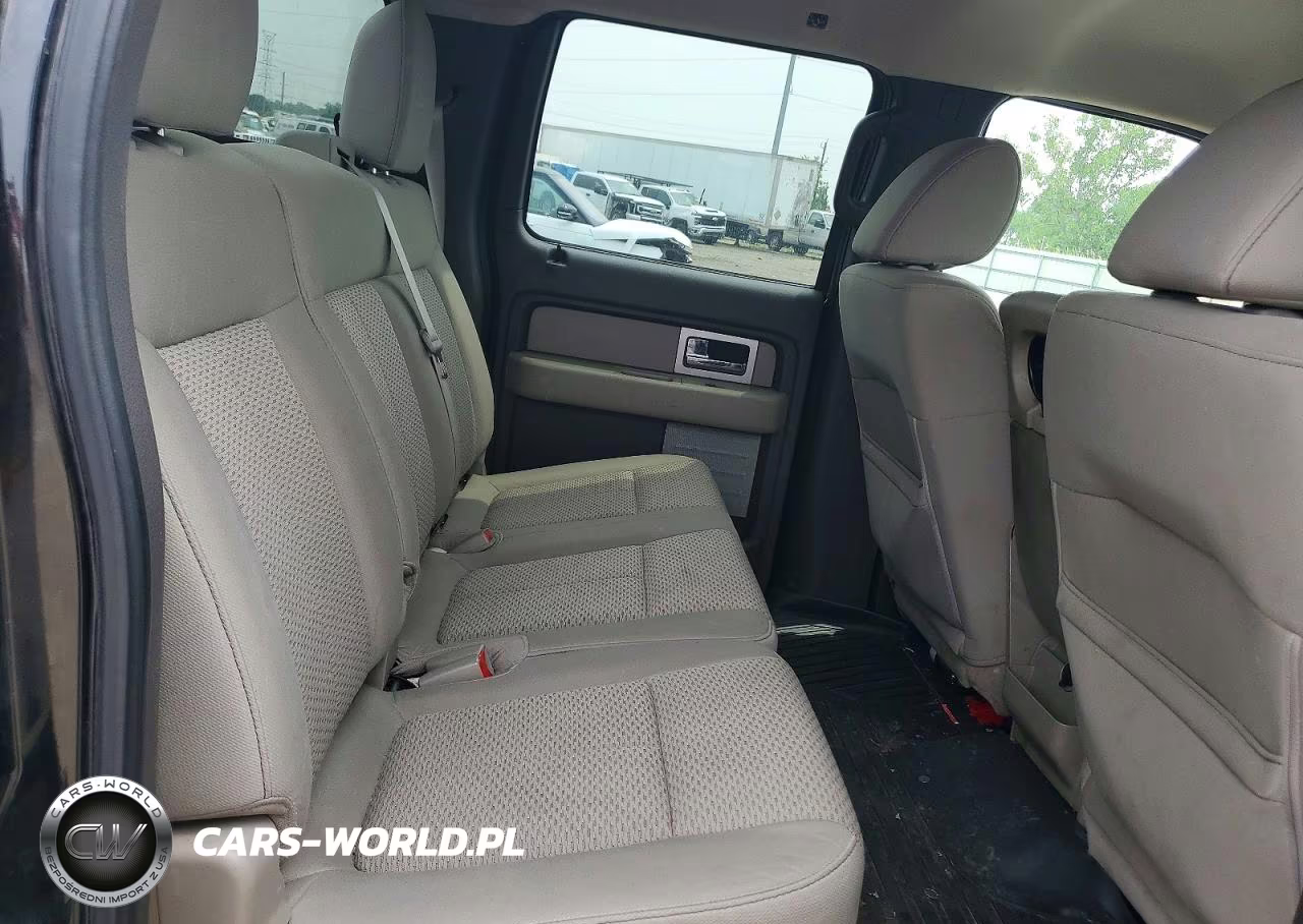 2010 Ford F150 Supercrew VIN:1FTEW1E81AFA66516 - 10