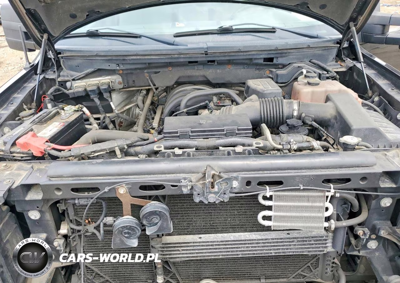 2010 Ford F150 Supercrew VIN:1FTEW1E81AFA66516 - 11