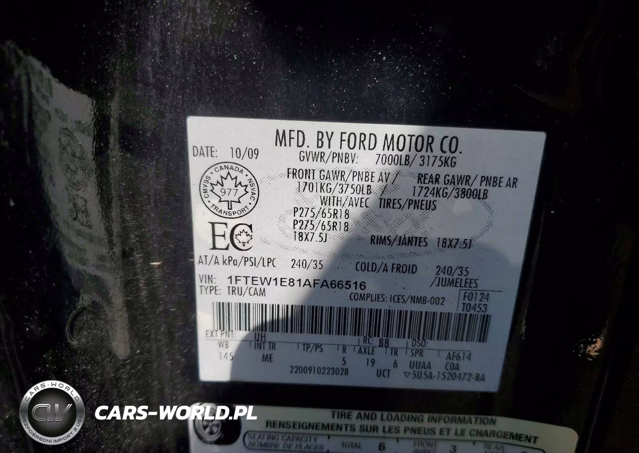 2010 Ford F150 Supercrew VIN:1FTEW1E81AFA66516 - 12