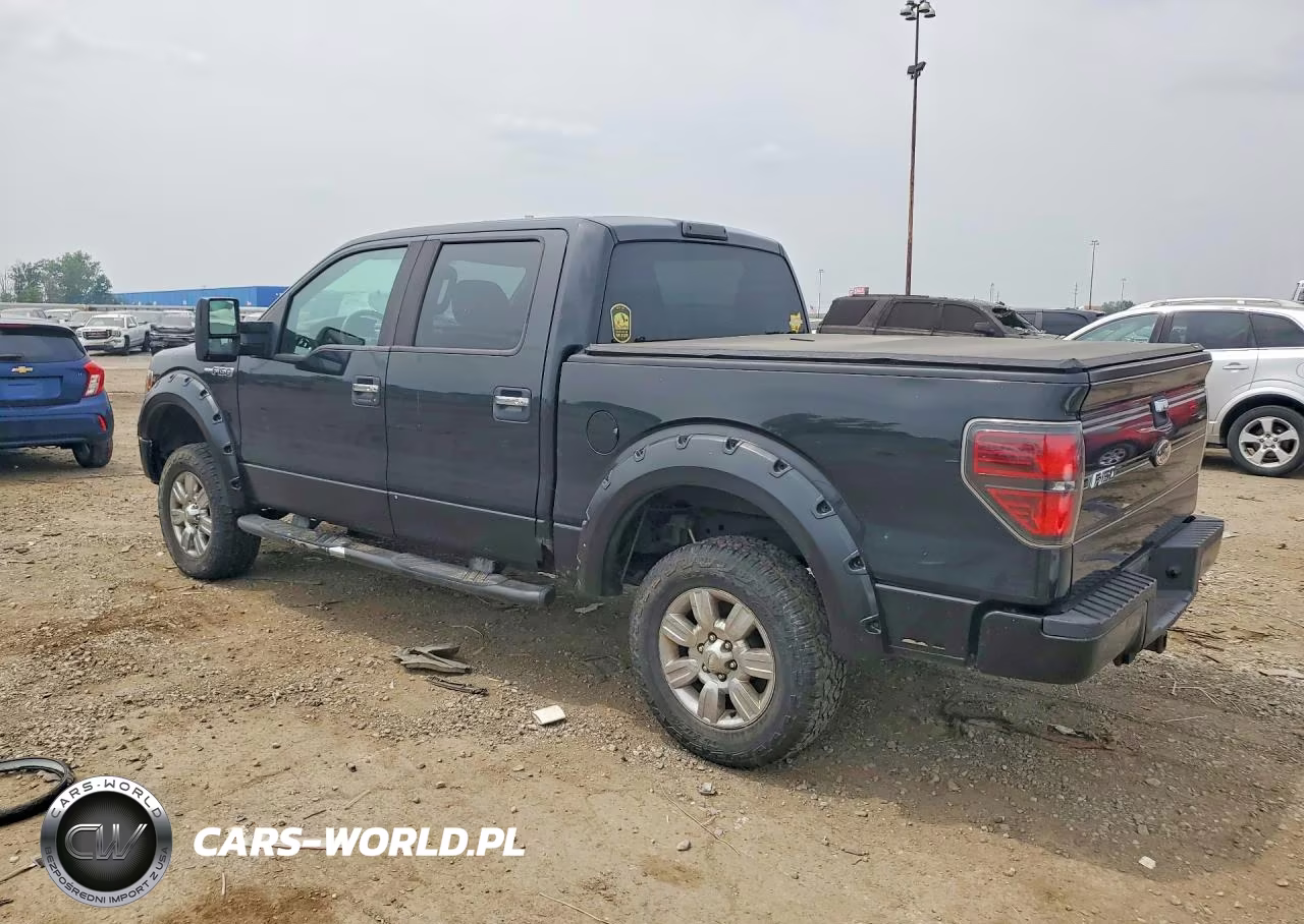 2010 Ford F150 Supercrew VIN:1FTEW1E81AFA66516 - 2