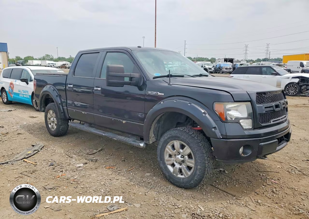 2010 Ford F150 Supercrew VIN:1FTEW1E81AFA66516 - 4