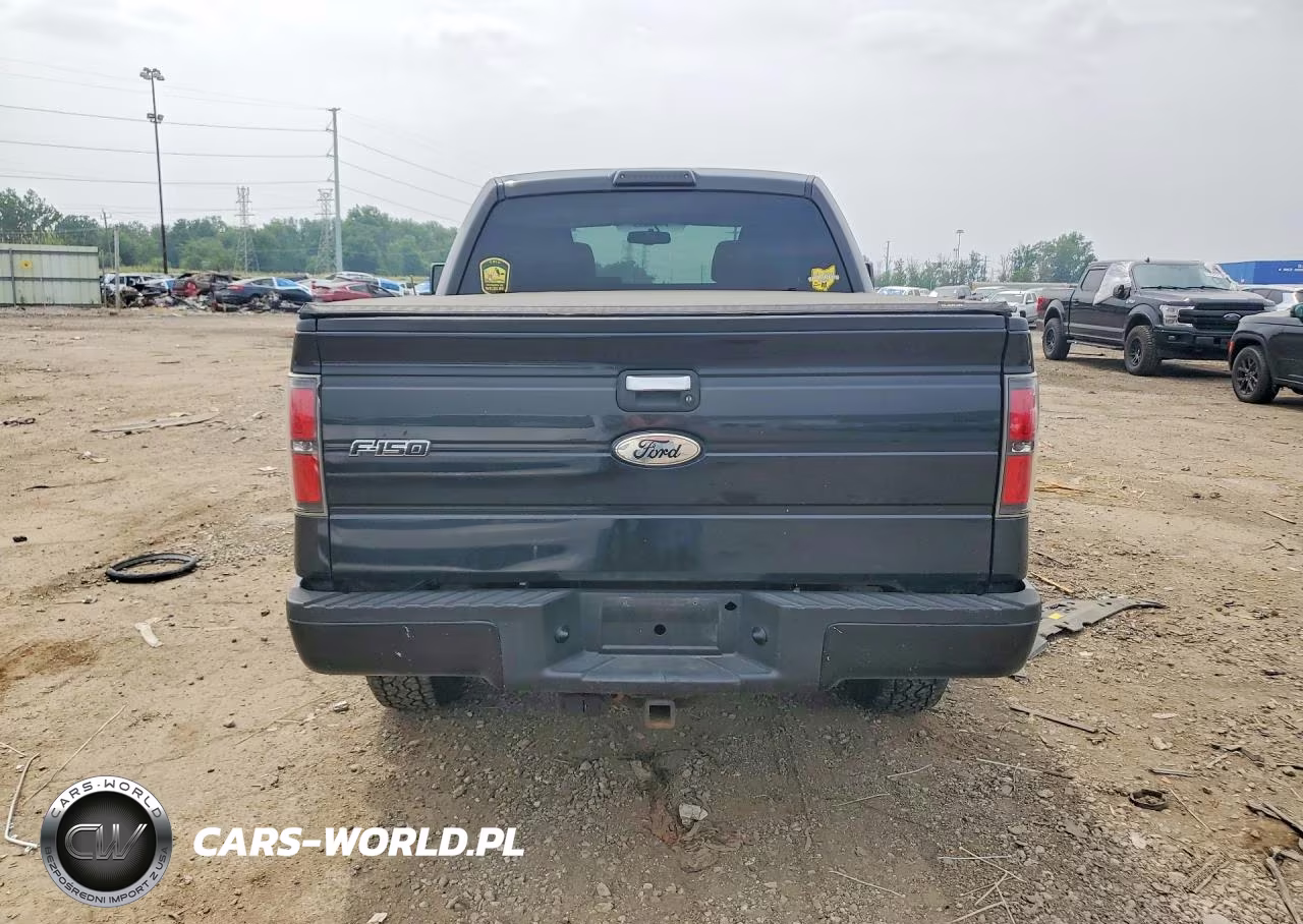 2010 Ford F150 Supercrew VIN:1FTEW1E81AFA66516 - 6