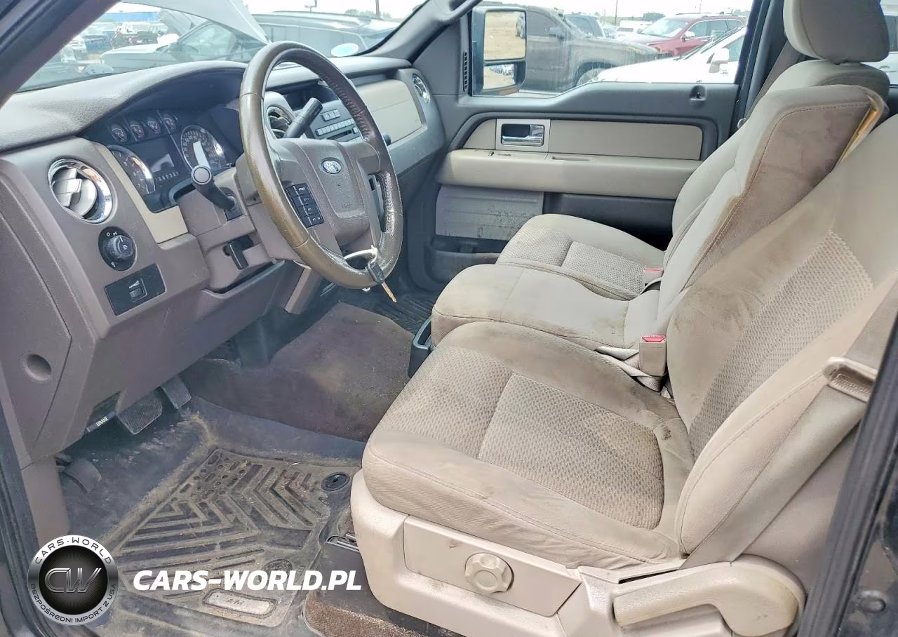 2010 Ford F150 Supercrew VIN:1FTEW1E81AFA66516 - 7