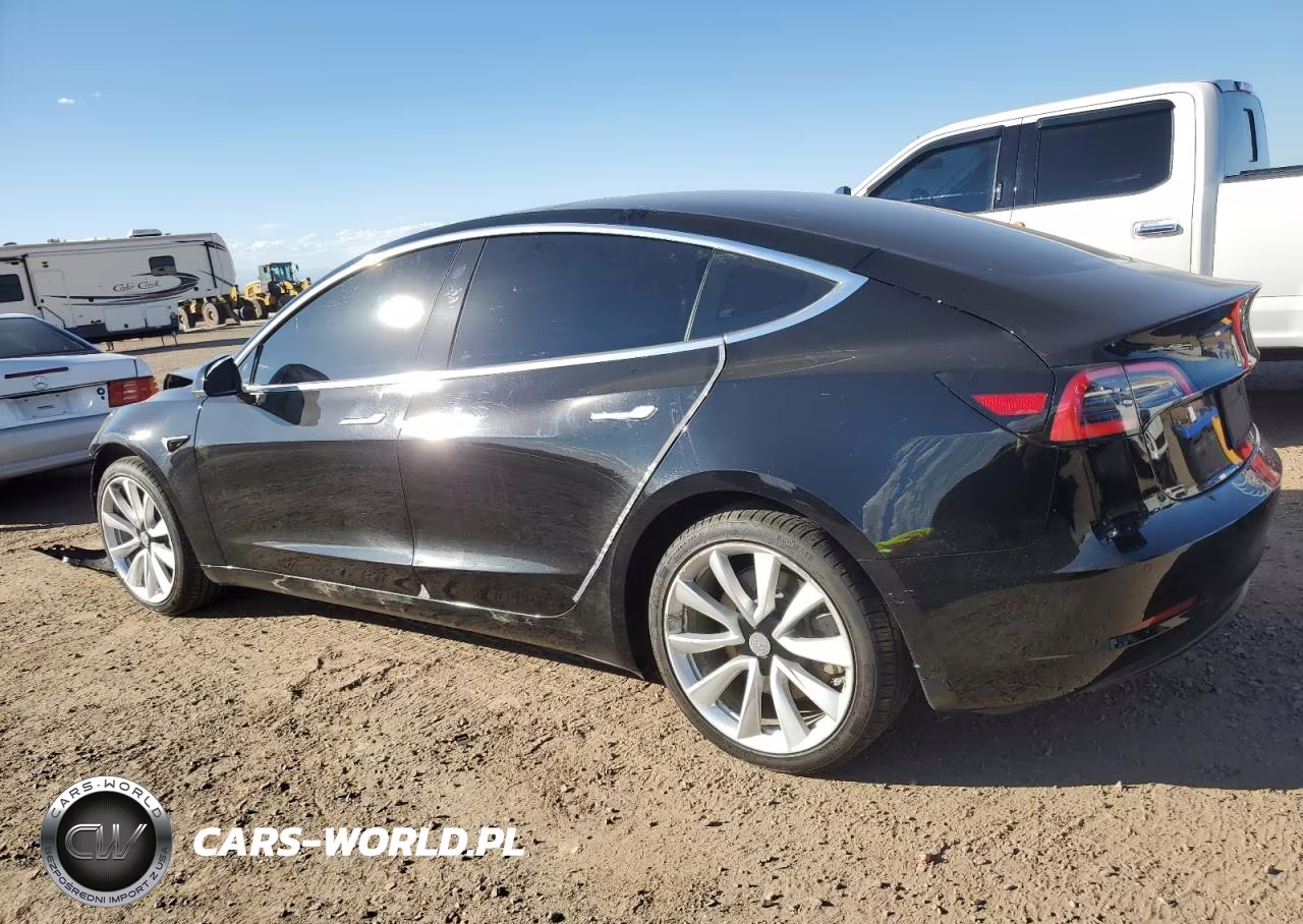 2019 Tesla Model 3 VIN:5YJ3E1EBXKF365336 - 2