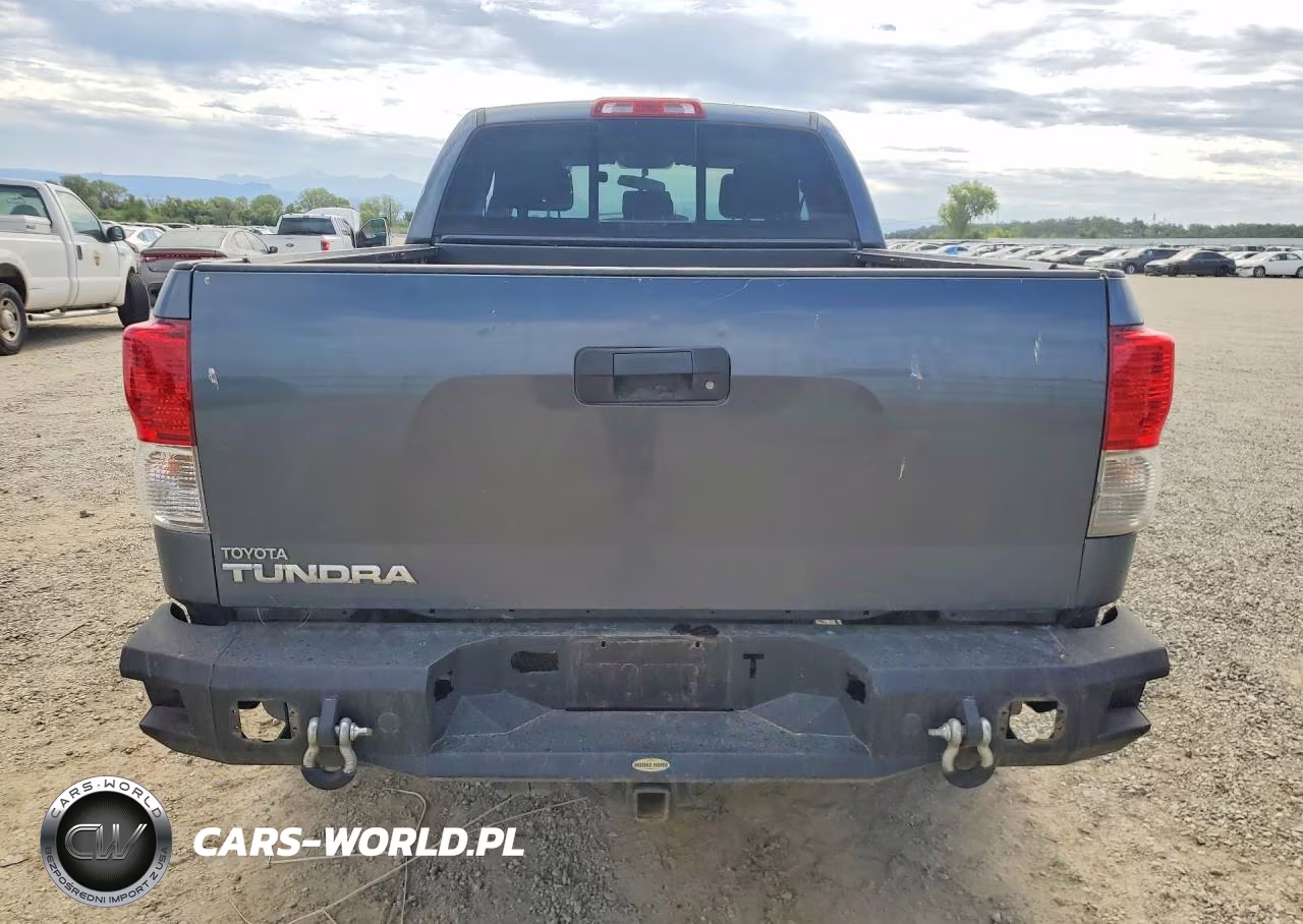 2010 Toyota Tundra Double Cab Sr5 VIN:5TFRM5F11AX016421 - 6