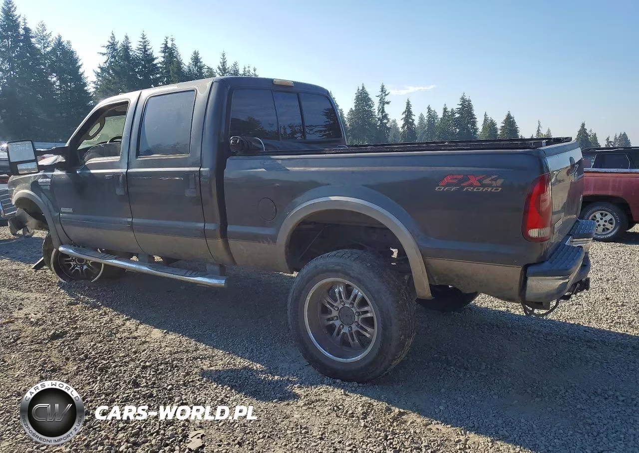 2005 Ford F250 Super Duty VIN:1FTSW21P55EC65490 - 2