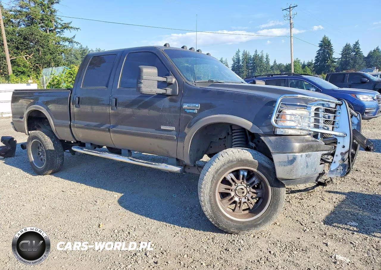 2005 Ford F250 Super Duty VIN:1FTSW21P55EC65490 - 4