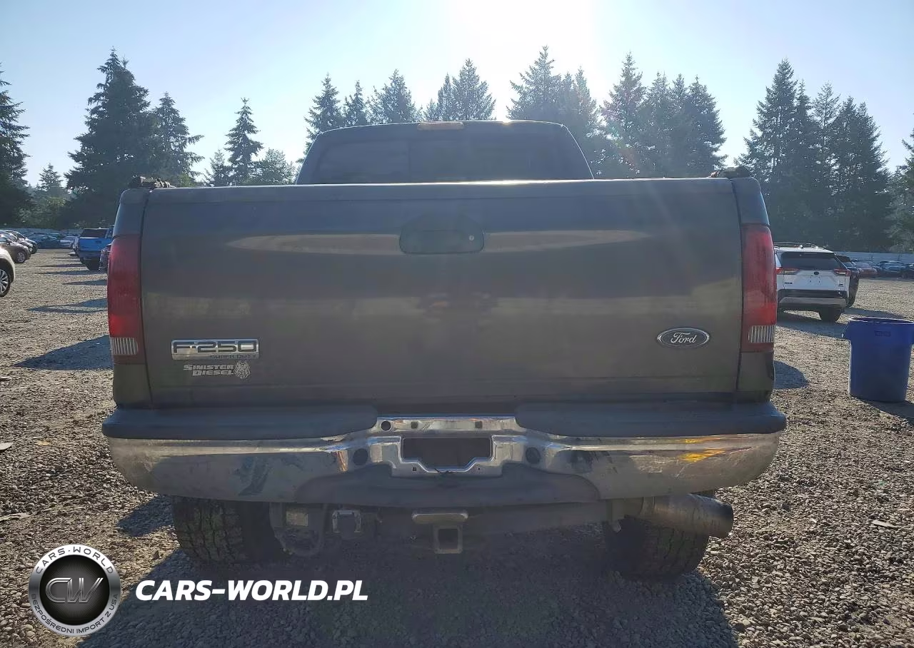 2005 Ford F250 Super Duty VIN:1FTSW21P55EC65490 - 6