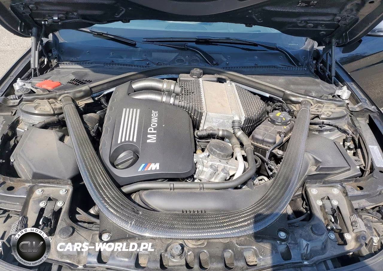 2016 BMW M4 VIN:WBS3R9C59GK337157 - 11