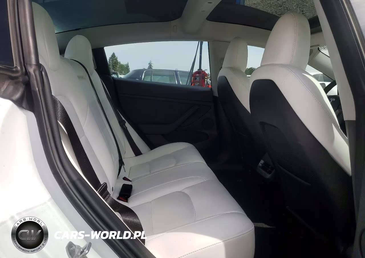 2023 Tesla Model 3 VIN:5YJ3E1EC8PF560920 - 10