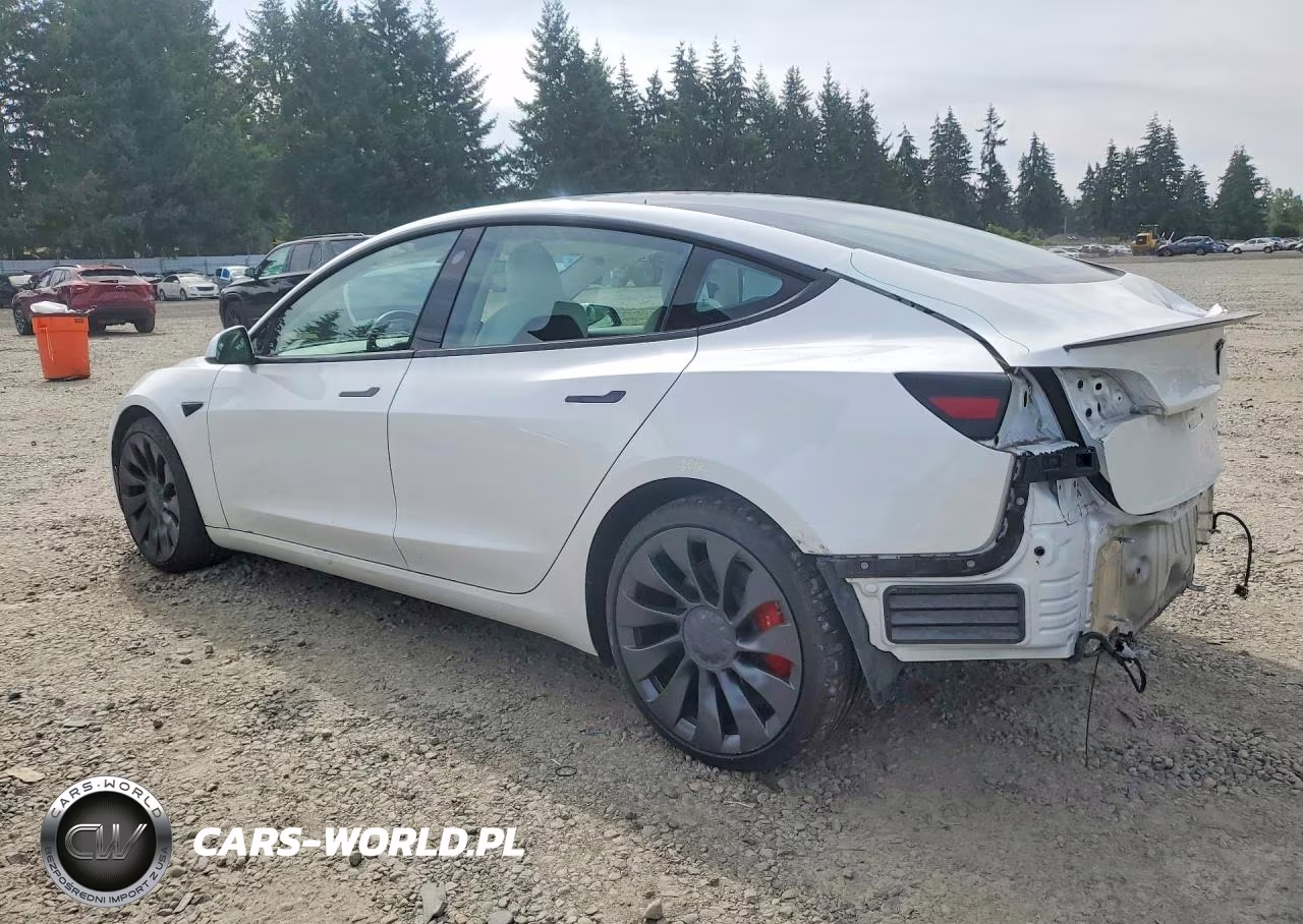 2023 Tesla Model 3 VIN:5YJ3E1EC8PF560920 - 2