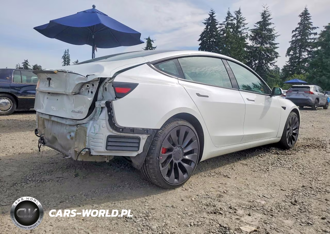 2023 Tesla Model 3 VIN:5YJ3E1EC8PF560920 - 3