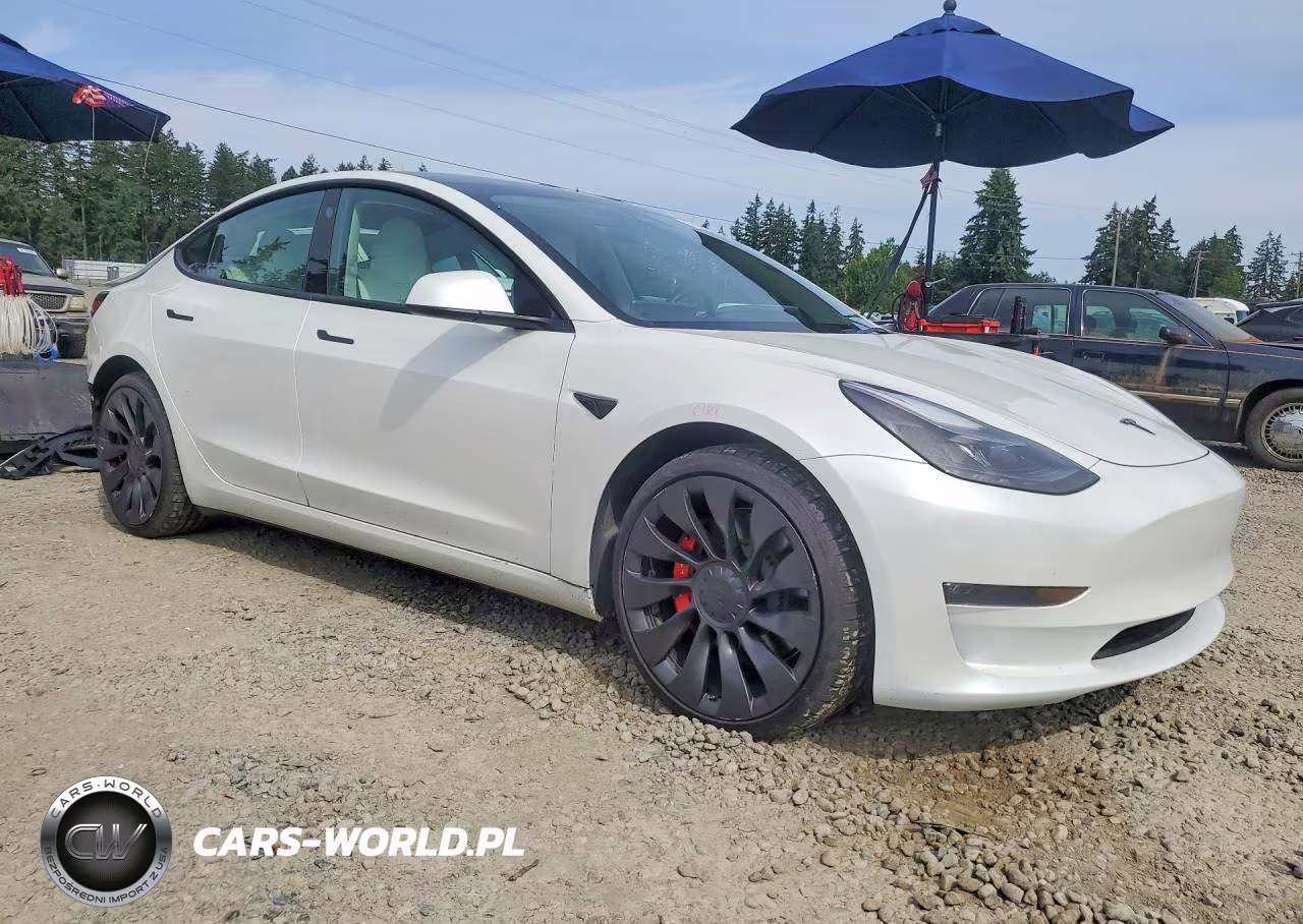 2023 Tesla Model 3 VIN:5YJ3E1EC8PF560920 - 4
