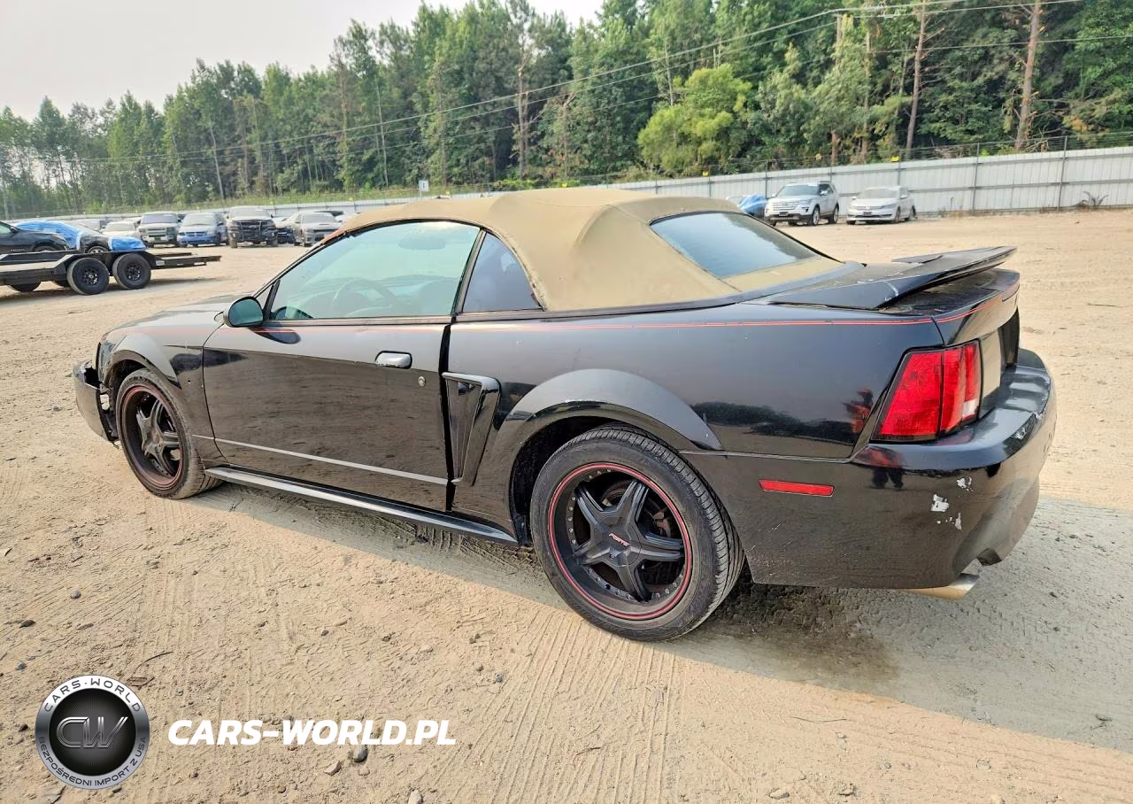 2003 Ford Mustang VIN:1FAFP44443F341256 - 2
