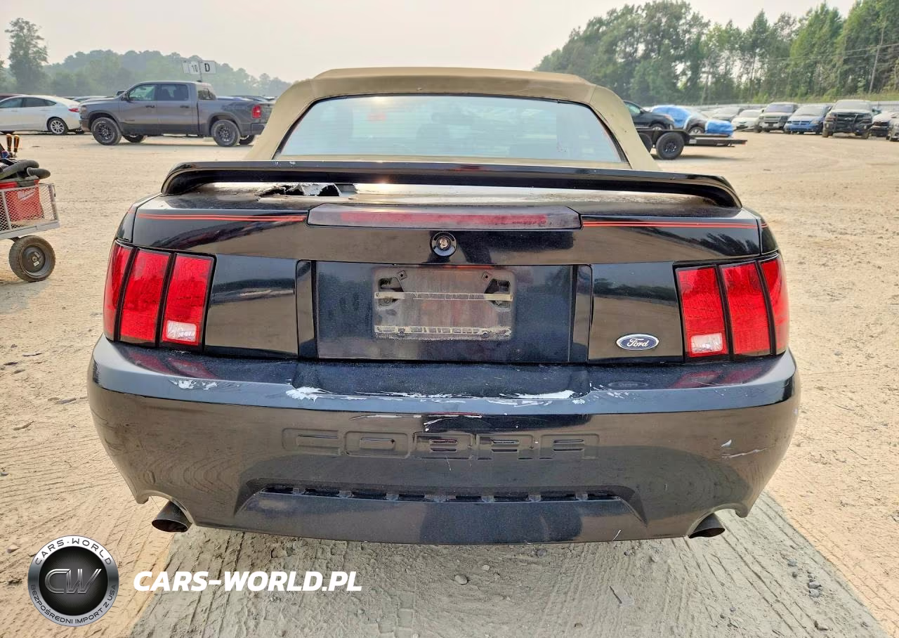 2003 Ford Mustang VIN:1FAFP44443F341256 - 6