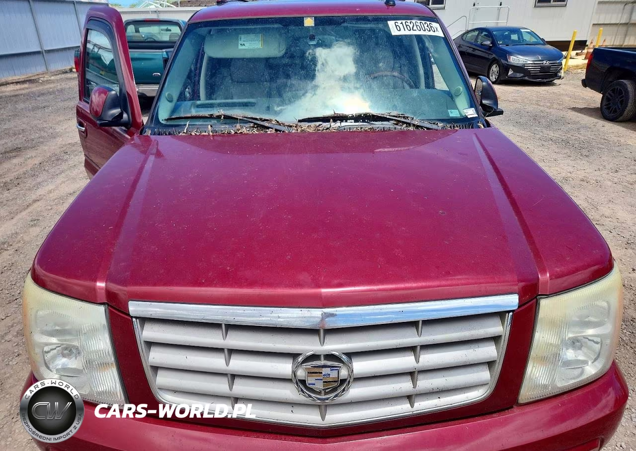 2004 Cadillac Escalade Esv VIN:3GYFK66NX4G324028 - 12