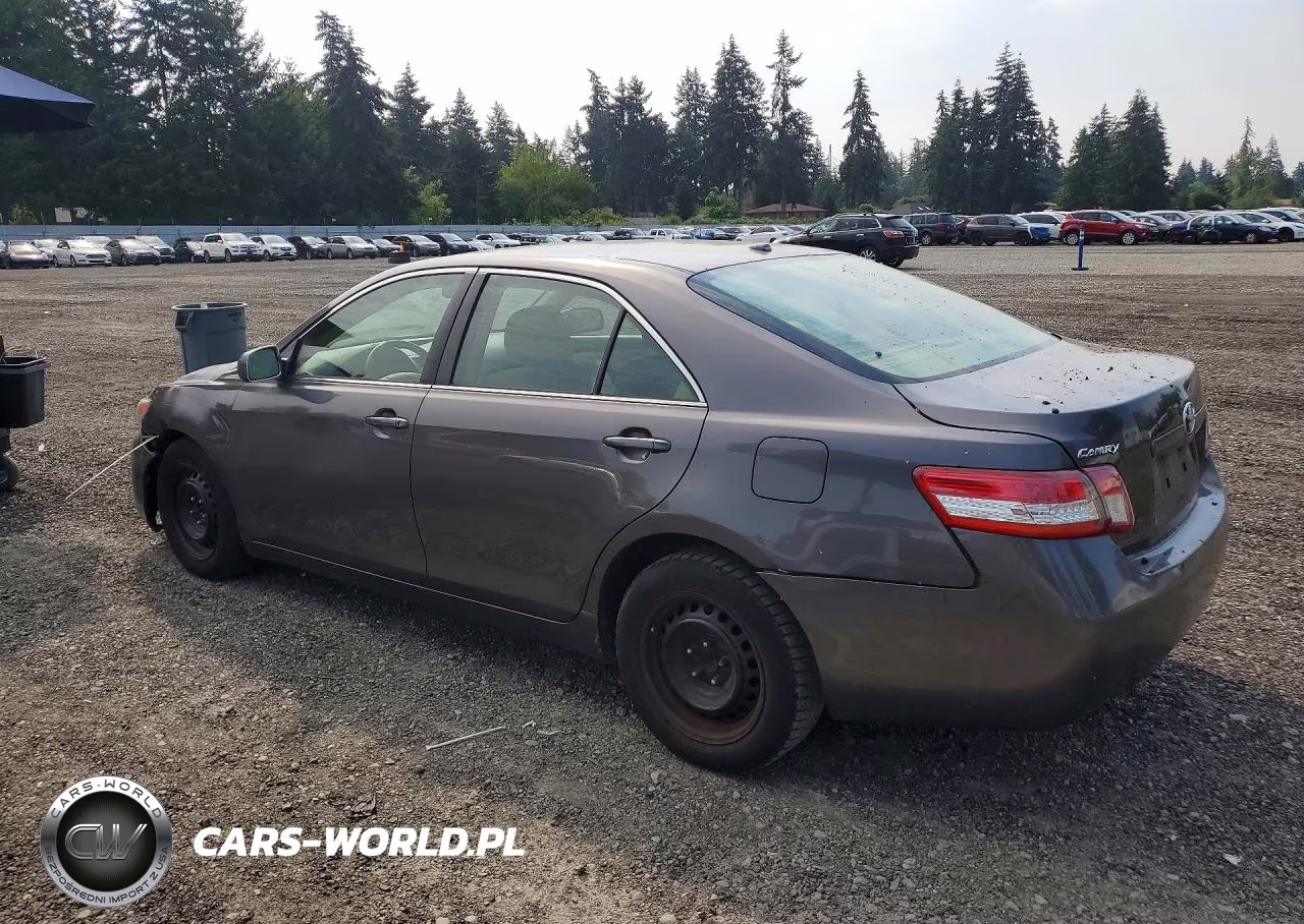 2010 Toyota Camry Le VIN:JTNBF3EK8A3004456 - 2