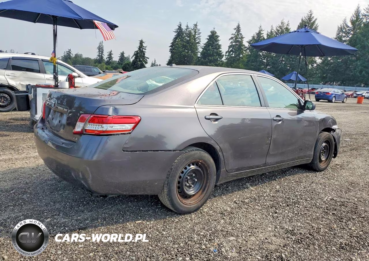 2010 Toyota Camry Le VIN:JTNBF3EK8A3004456 - 3