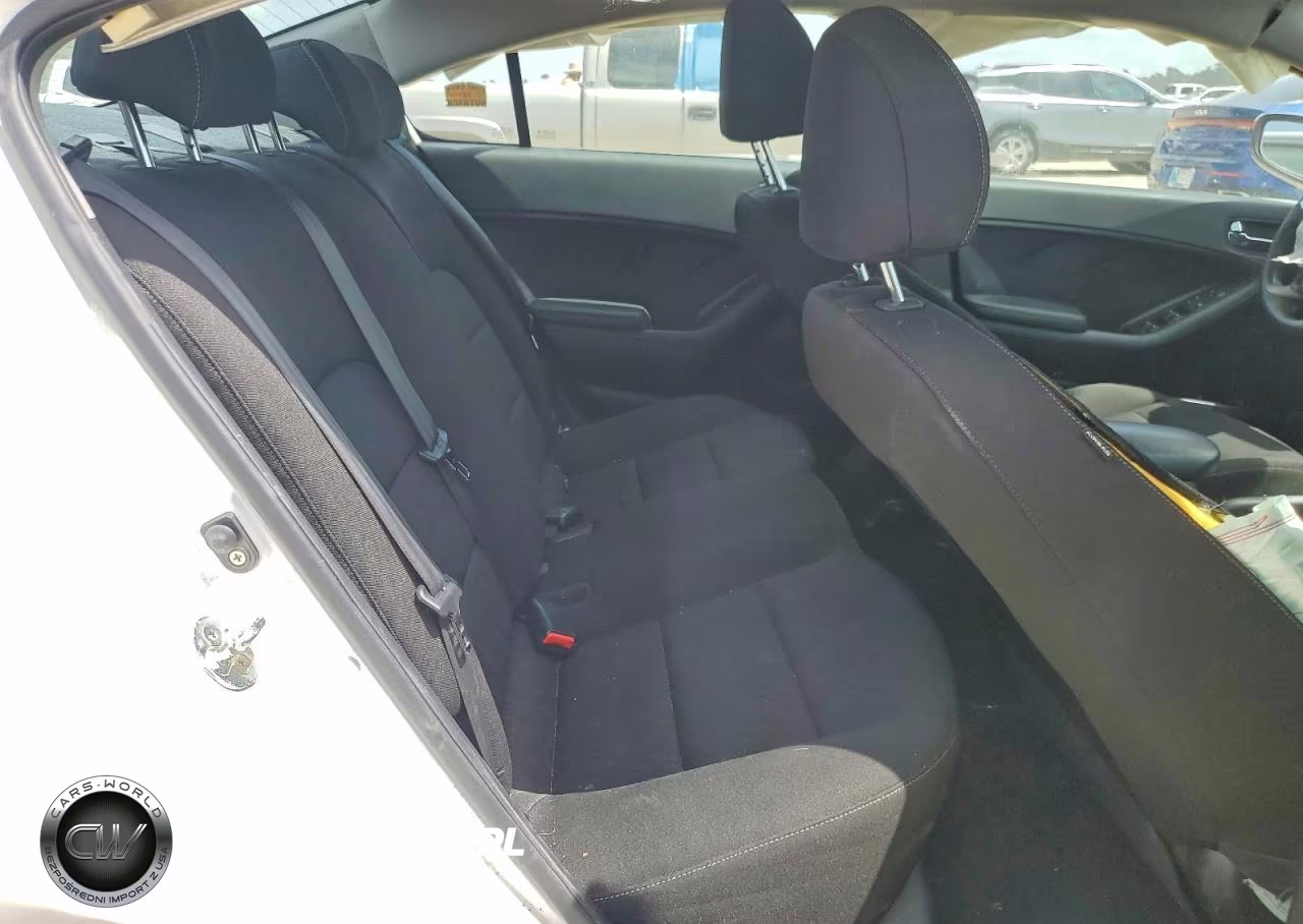 2016 Kia Forte Lx VIN:KNAFK4A6XG5607046 - 10