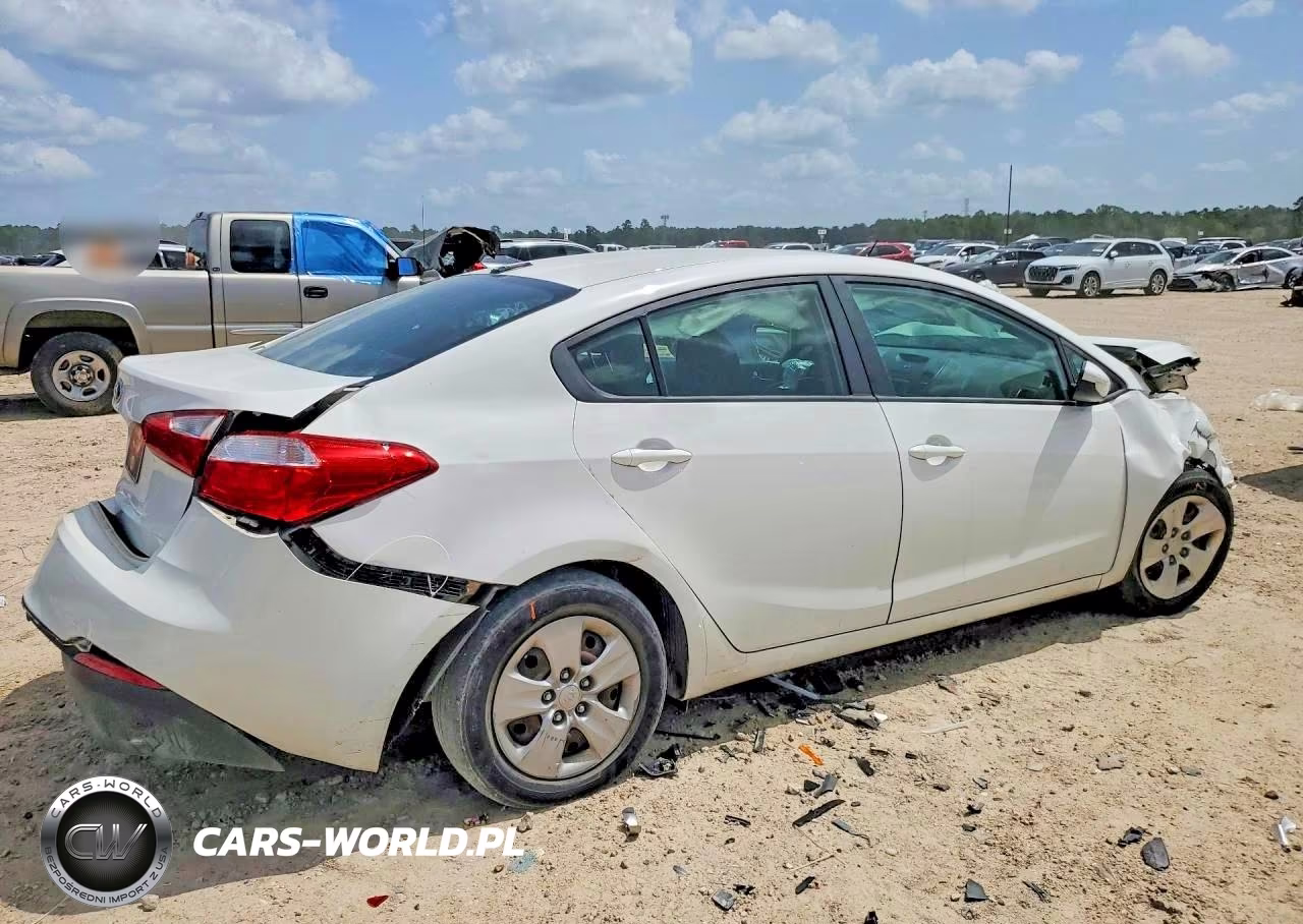 2016 Kia Forte Lx VIN:KNAFK4A6XG5607046 - 3