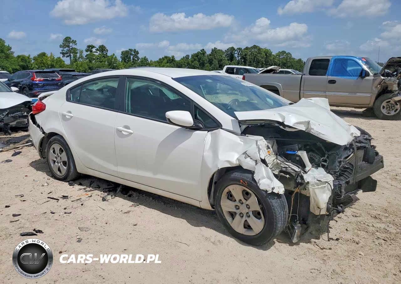 2016 Kia Forte Lx VIN:KNAFK4A6XG5607046 - 4