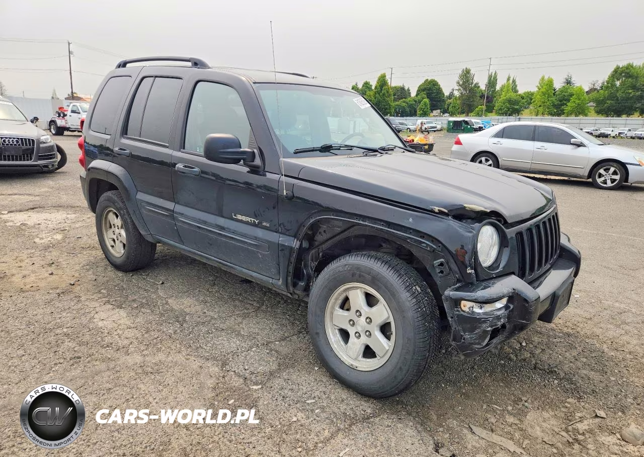 2003 Jeep Liberty Limited VIN:1J8GL58KX3W532441 - 4