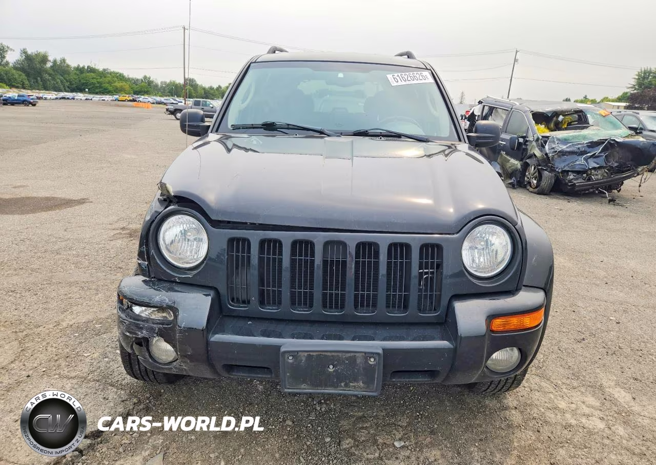 2003 Jeep Liberty Limited VIN:1J8GL58KX3W532441 - 5