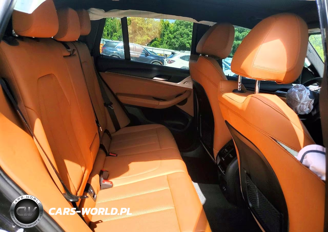 2023 BMW X3 Sdrive30I VIN:5UX43DP08P9T17454 - 10