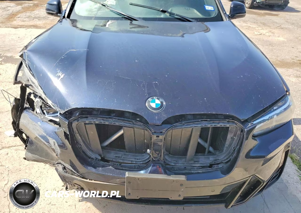 2023 BMW X3 Sdrive30I VIN:5UX43DP08P9T17454 - 11