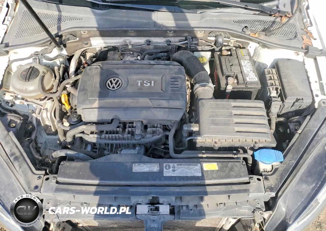 2015 Volkswagen Golf VIN:3VW217AU0FM033180 - 11