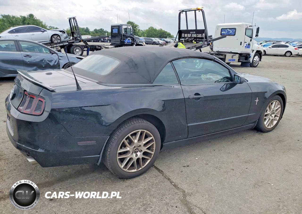 2013 Ford Mustang VIN:1ZVBP8EM3D5225713 - 3