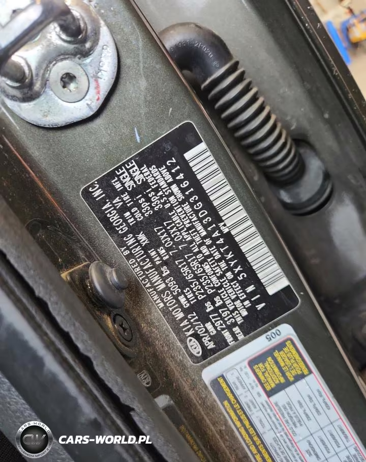2013 Kia Sorento Lx VIN:5XYKT4A13DG316412 - 13