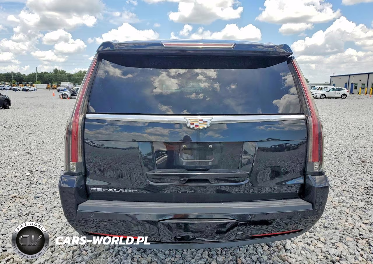 2015 Cadillac Escalade Esv Premium VIN:1GYS3TKJ5FR738849 - 6