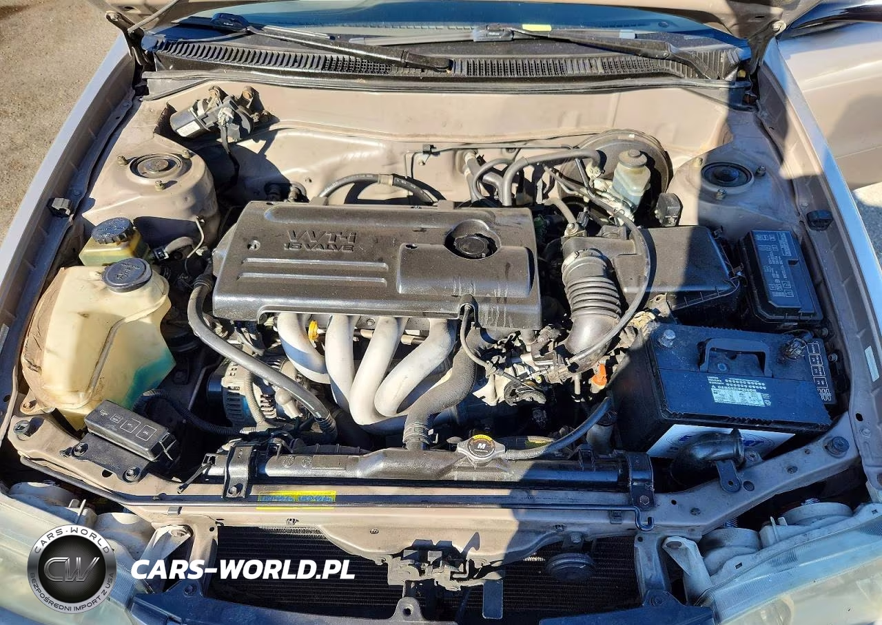 2002 Toyota Corolla Ce VIN:1NXBR12E72Z628545 - 11