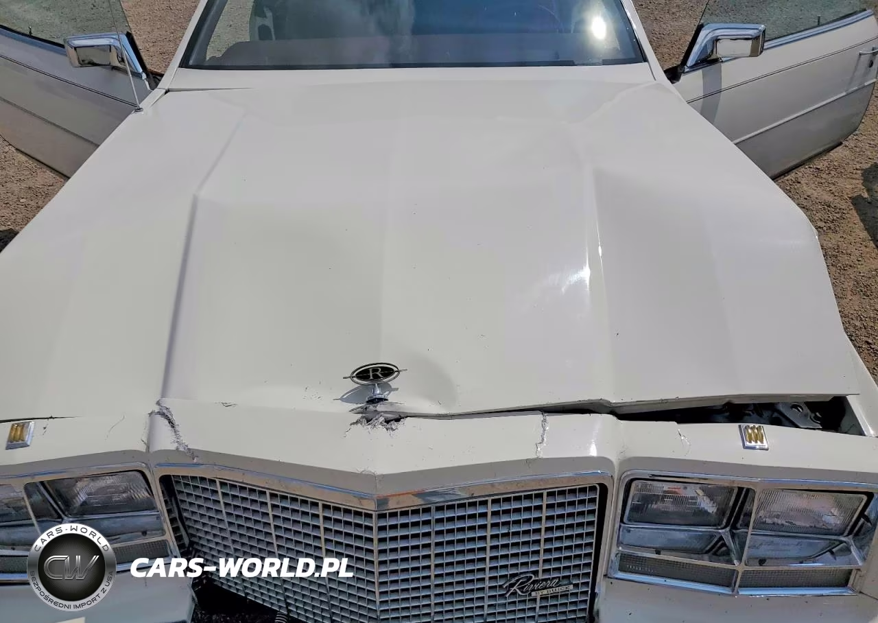 1981 Buick Riviera VIN:1G4AZ57Y8BE442237 - 11