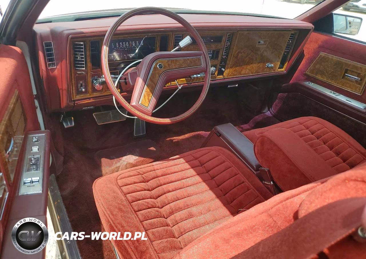 1981 Buick Riviera VIN:1G4AZ57Y8BE442237 - 8
