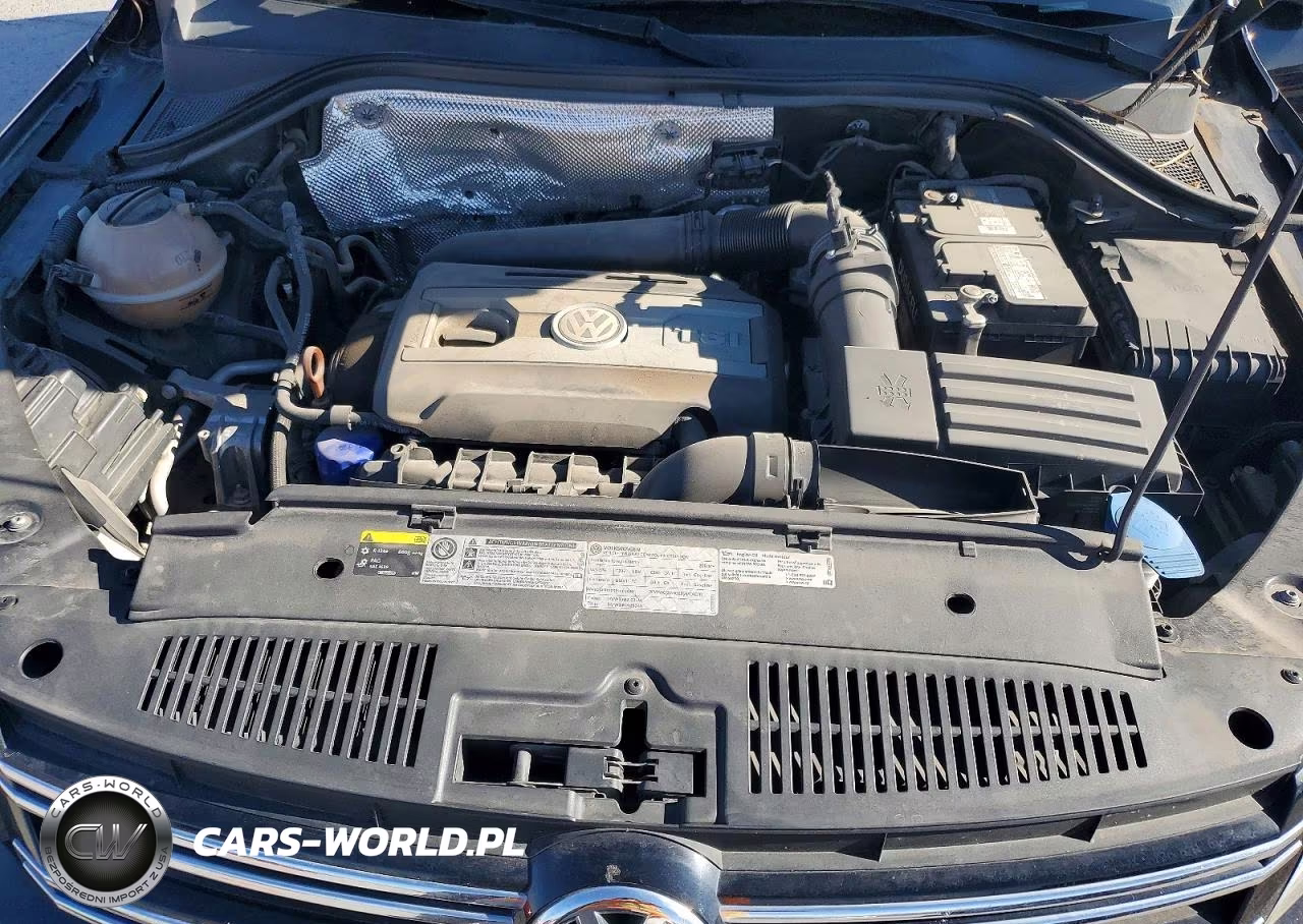 2013 Volkswagen Tiguan S VIN:WVGAV3AX6DW598659 - 12
