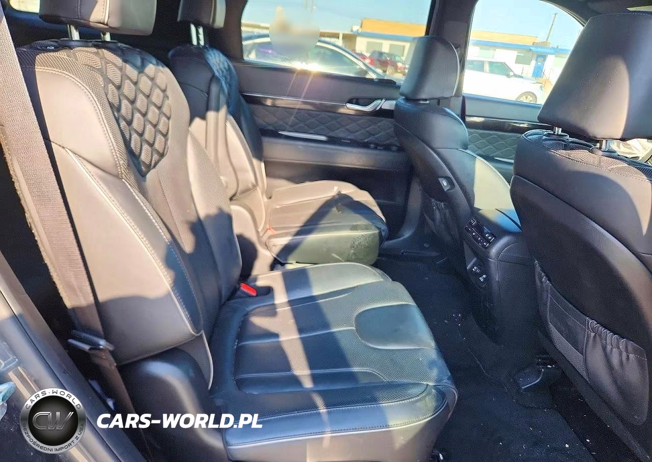 2020 Hyundai Palisade Limited VIN:KM8R5DHE1LU086217 - 11