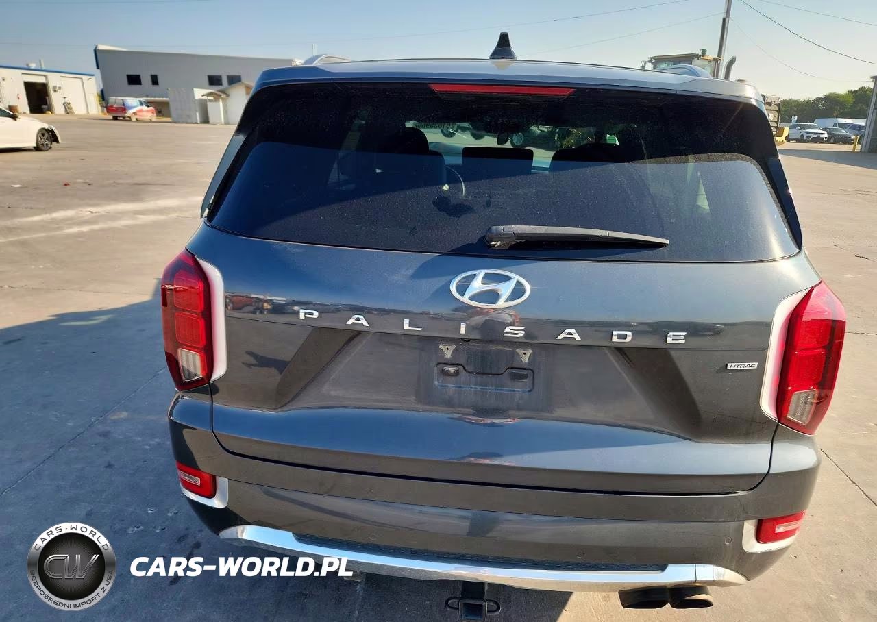 2020 Hyundai Palisade Limited VIN:KM8R5DHE1LU086217 - 6