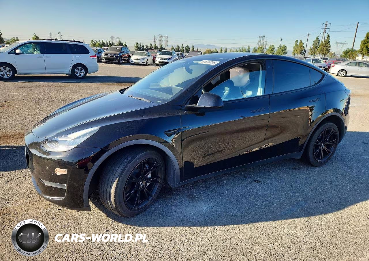 2020 Tesla Model Y