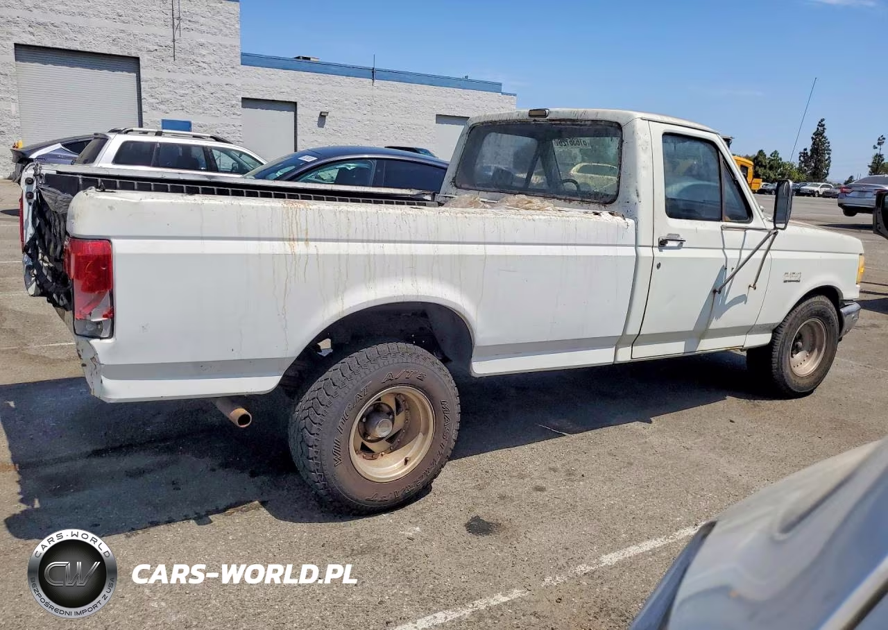 1989 Ford F150 VIN:1FTDF15Y3KPA88962 - 3