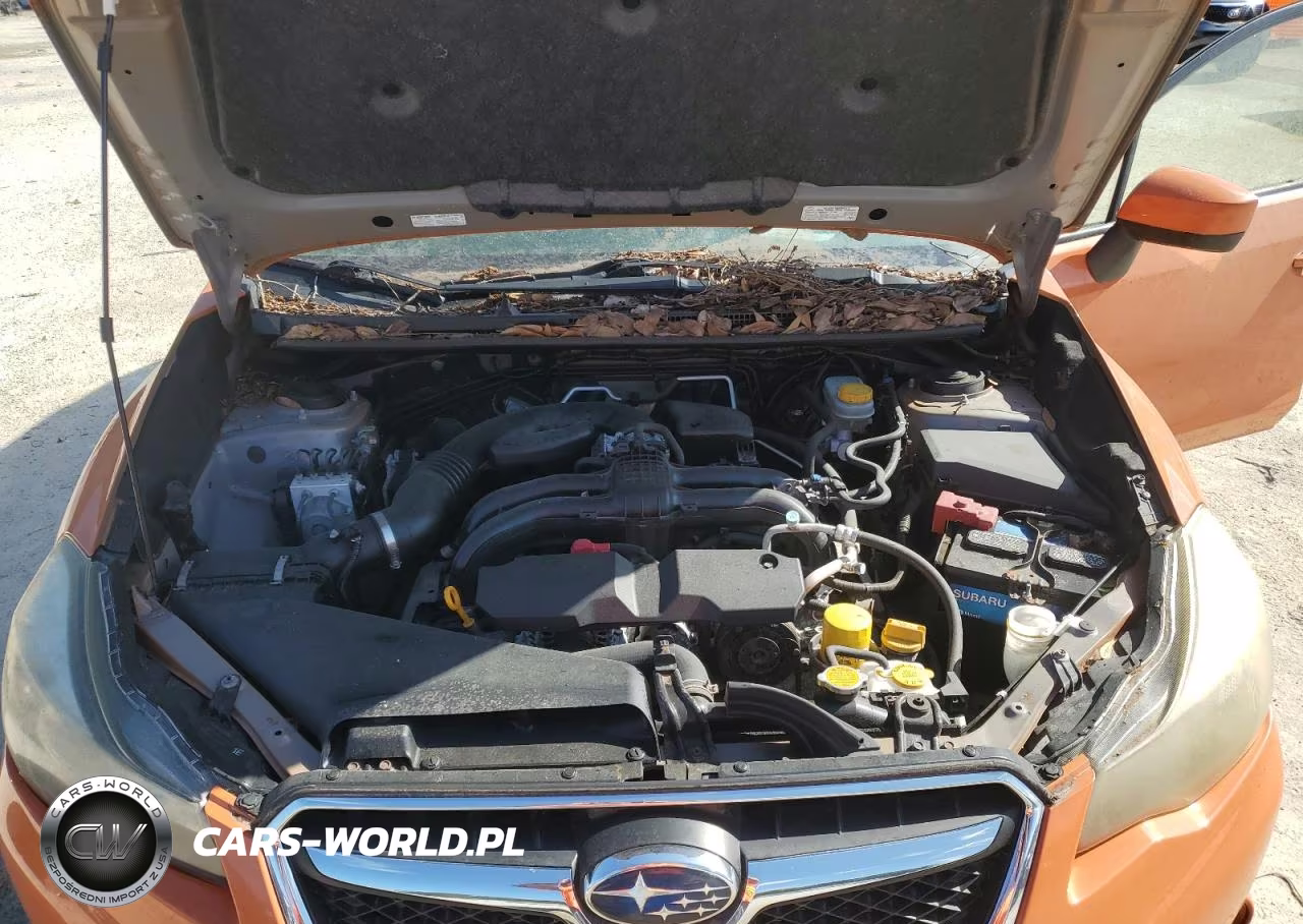 2015 Subaru Xv Crosstrek 2.0 Premium VIN:JF2GPADC8F8228845 - 12