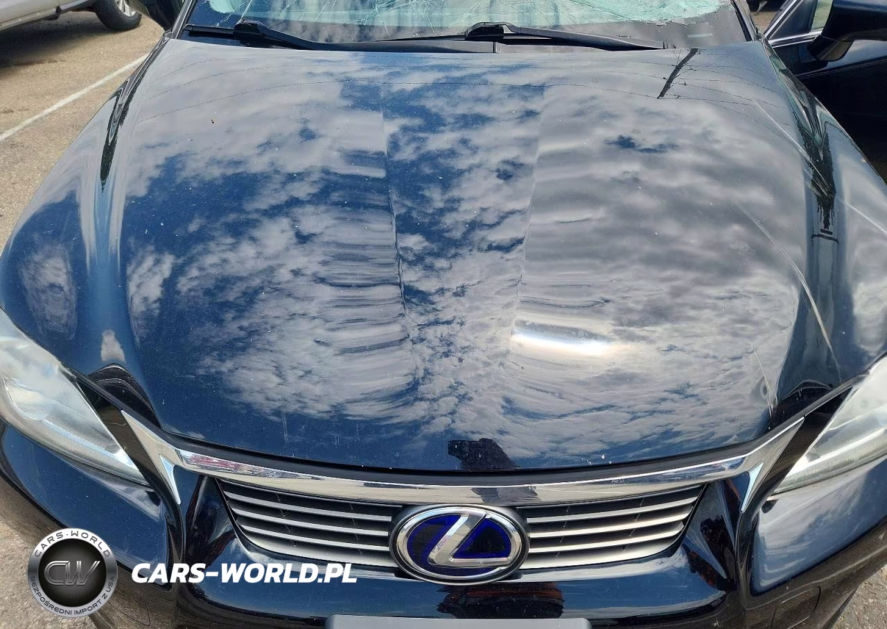 2013 Lexus Ct 200 VIN:JTHKD5BH8D2149357 - 11