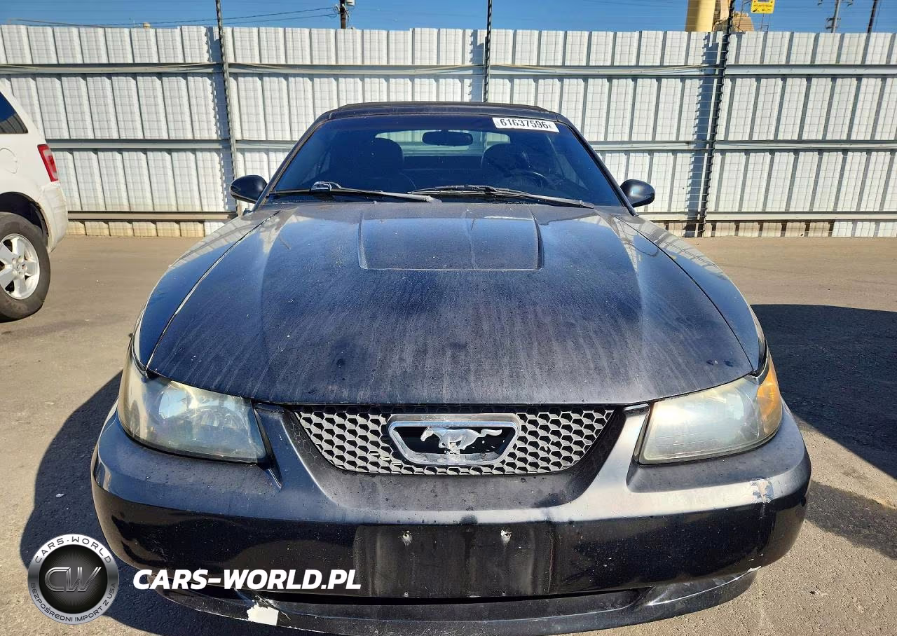 2003 Ford Mustang VIN:1FAFP44473F416967 - 5