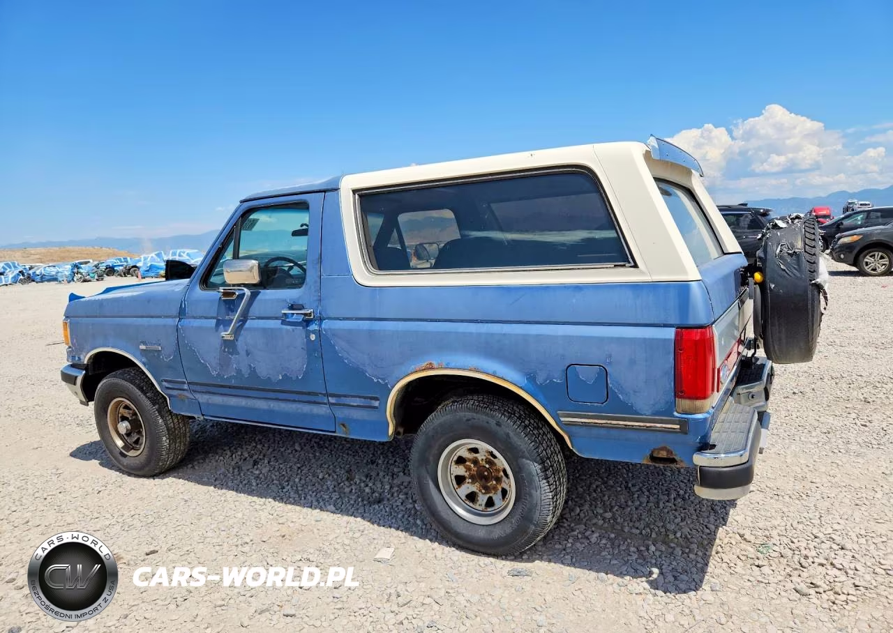 1991 Ford Bronco U100 VIN:1FMEU15H7MLA37545 - 2