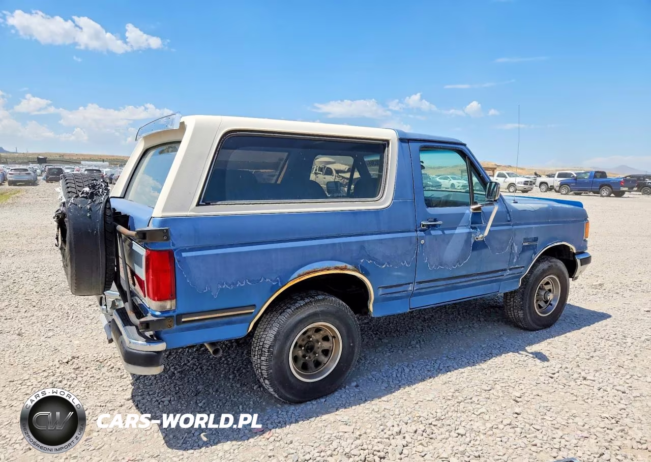 1991 Ford Bronco U100 VIN:1FMEU15H7MLA37545 - 3