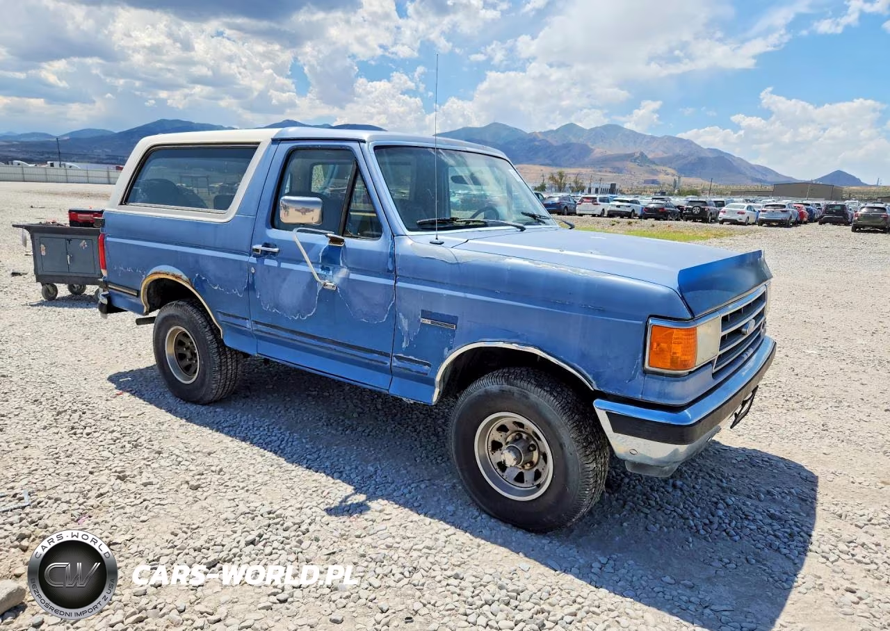 1991 Ford Bronco U100 VIN:1FMEU15H7MLA37545 - 4