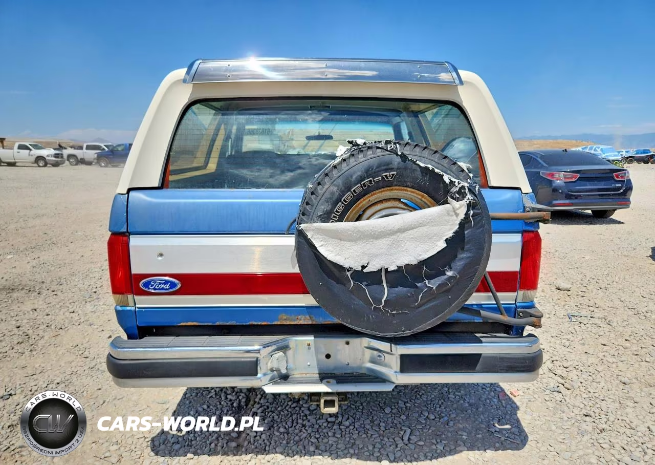 1991 Ford Bronco U100 VIN:1FMEU15H7MLA37545 - 6