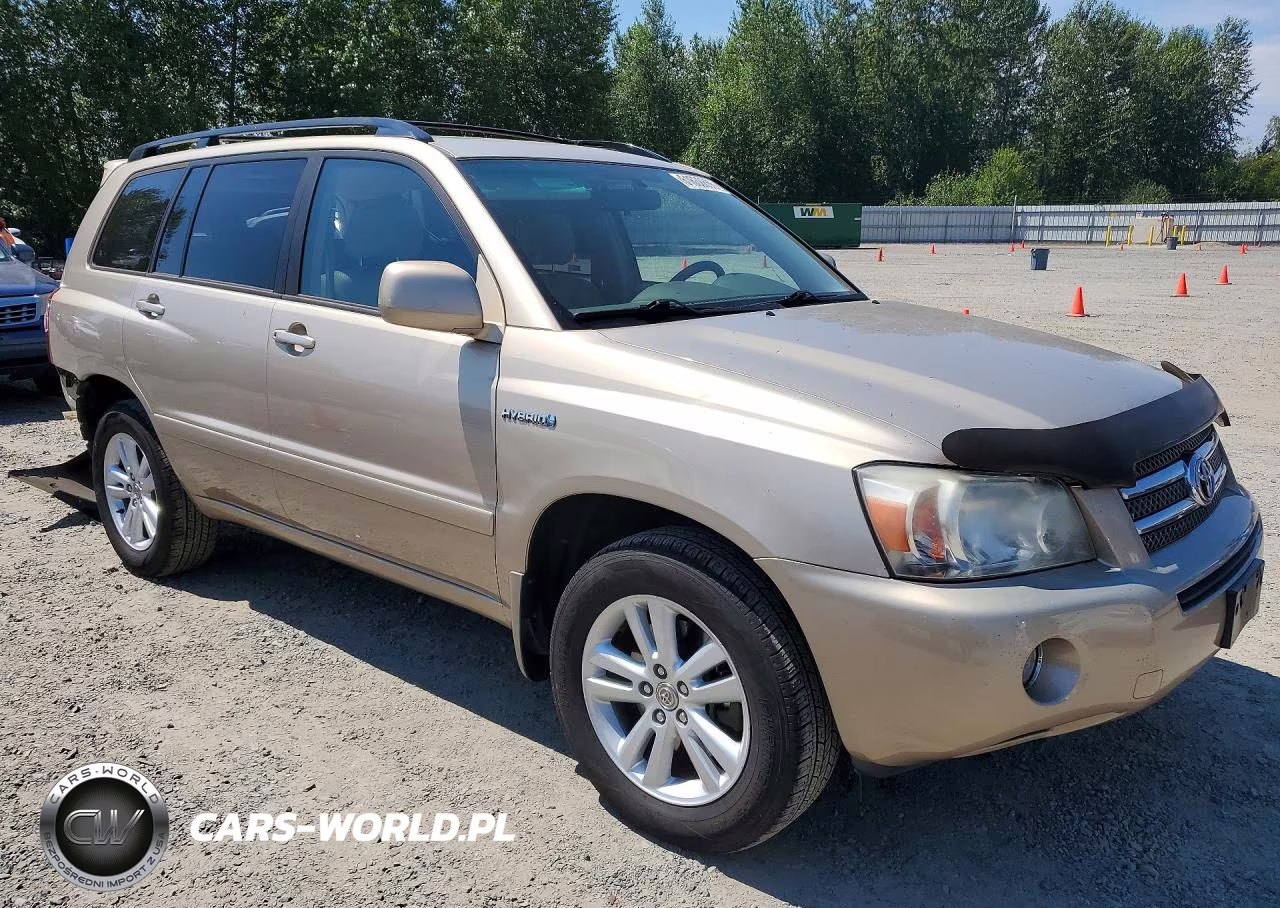 2006 Toyota Highlander Hybrid VIN:JTEEW21A960031484 - 4